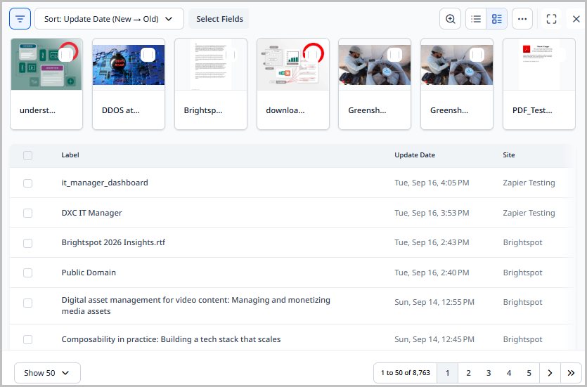 5.0-search-mixed-view