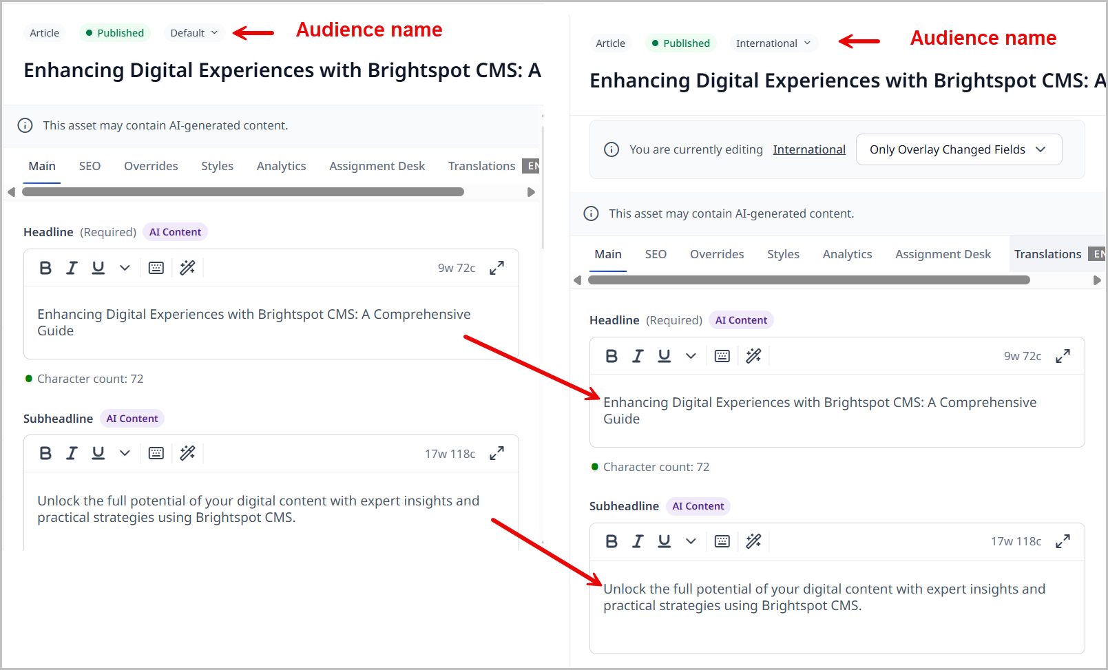 5.0-initial-audience-flow