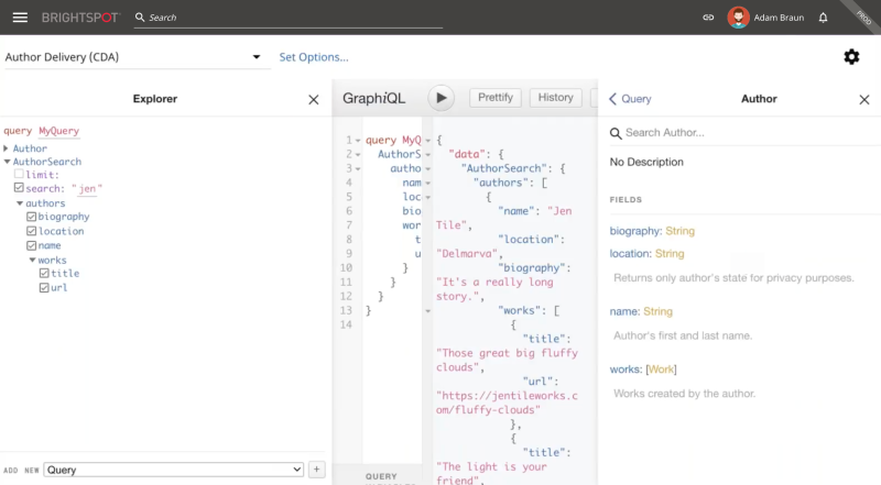 example of Brightspot GraphQL query interface