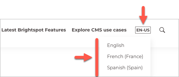 Language menu showing available locales