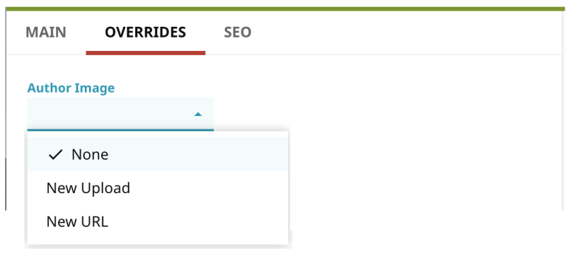 New storage items field.png