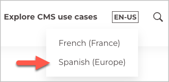 Rendered language display name (overridden)