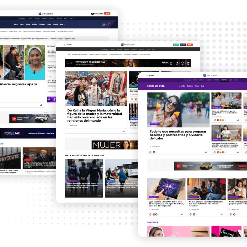 Univision website examples