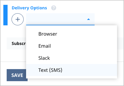 Delivery option display name