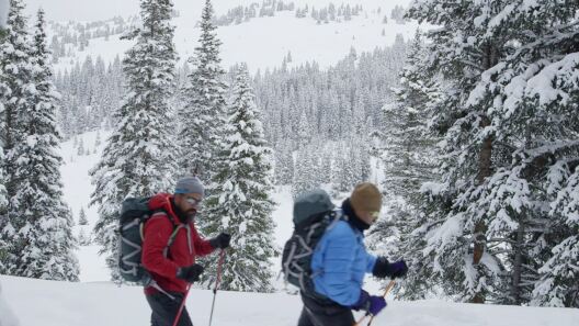 Places Like This': The Value of Wilderness