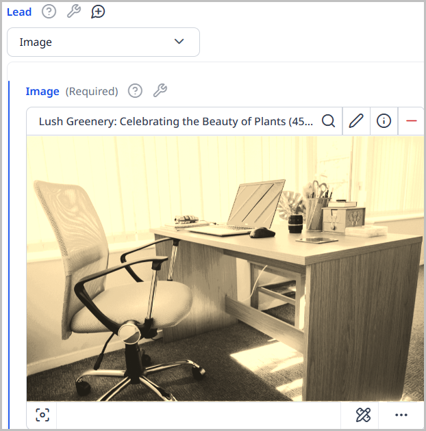 5.0-contextual-editing-image-with-edits-in-asset